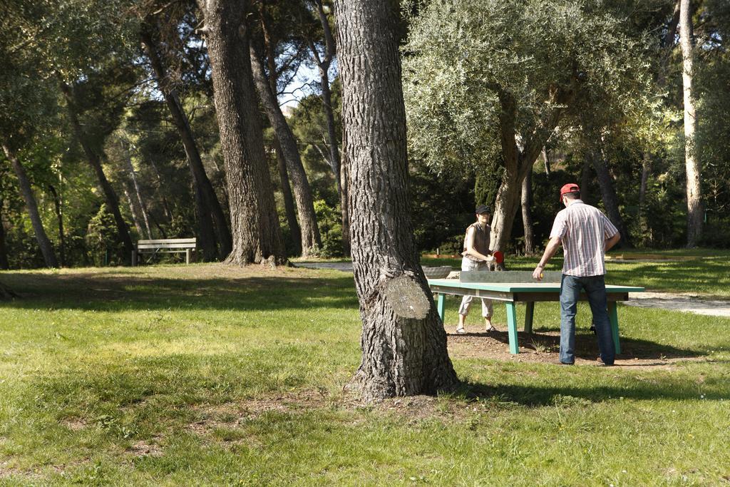 Hotel Club La Font Des Horts Hyeres Ngoại thất bức ảnh