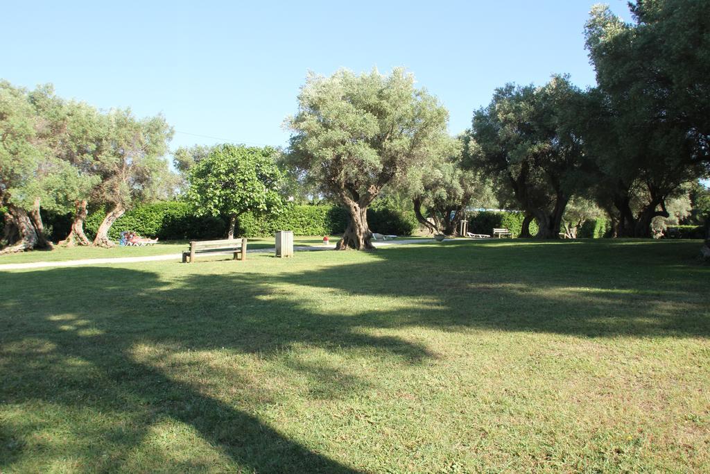 Hotel Club La Font Des Horts Hyeres Ngoại thất bức ảnh