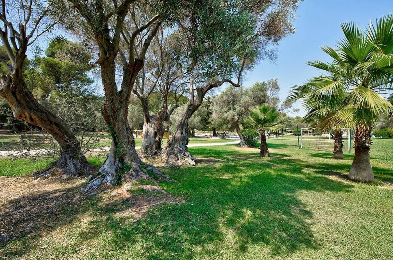 Hotel Club La Font Des Horts Hyeres Ngoại thất bức ảnh